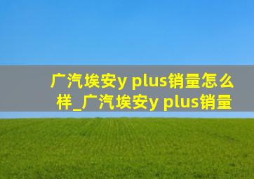 广汽埃安y plus销量怎么样_广汽埃安y plus销量